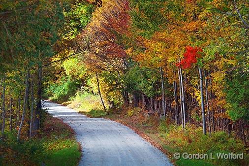 Autumn Backroad_22996.jpg - Photographed at Rideau Lakes, Ontario, Canada.